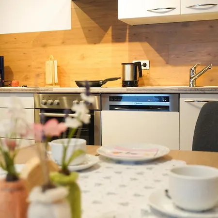 Zenauerhof アパート *