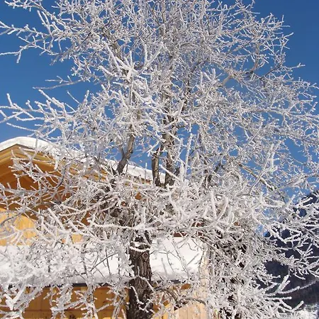 Apartmán Zenauerhof *