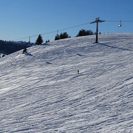 Διαμέρισμα Zenauerhof Sankt Martin bei Lofer