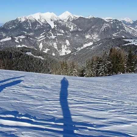 Zenauerhof Διαμέρισμα