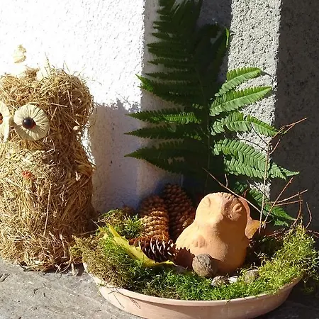 Zenauerhof Sankt Martin bei Lofer