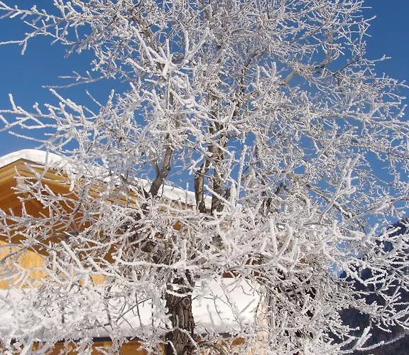 Lägenhet Zenauerhof *