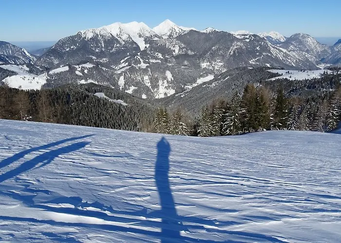 Zenauerhof Lägenhet